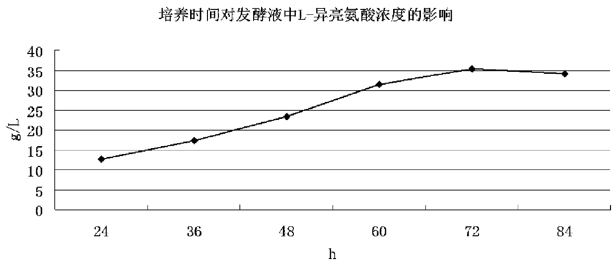 Method for extracting L-isoleucine by means of chromatography technology