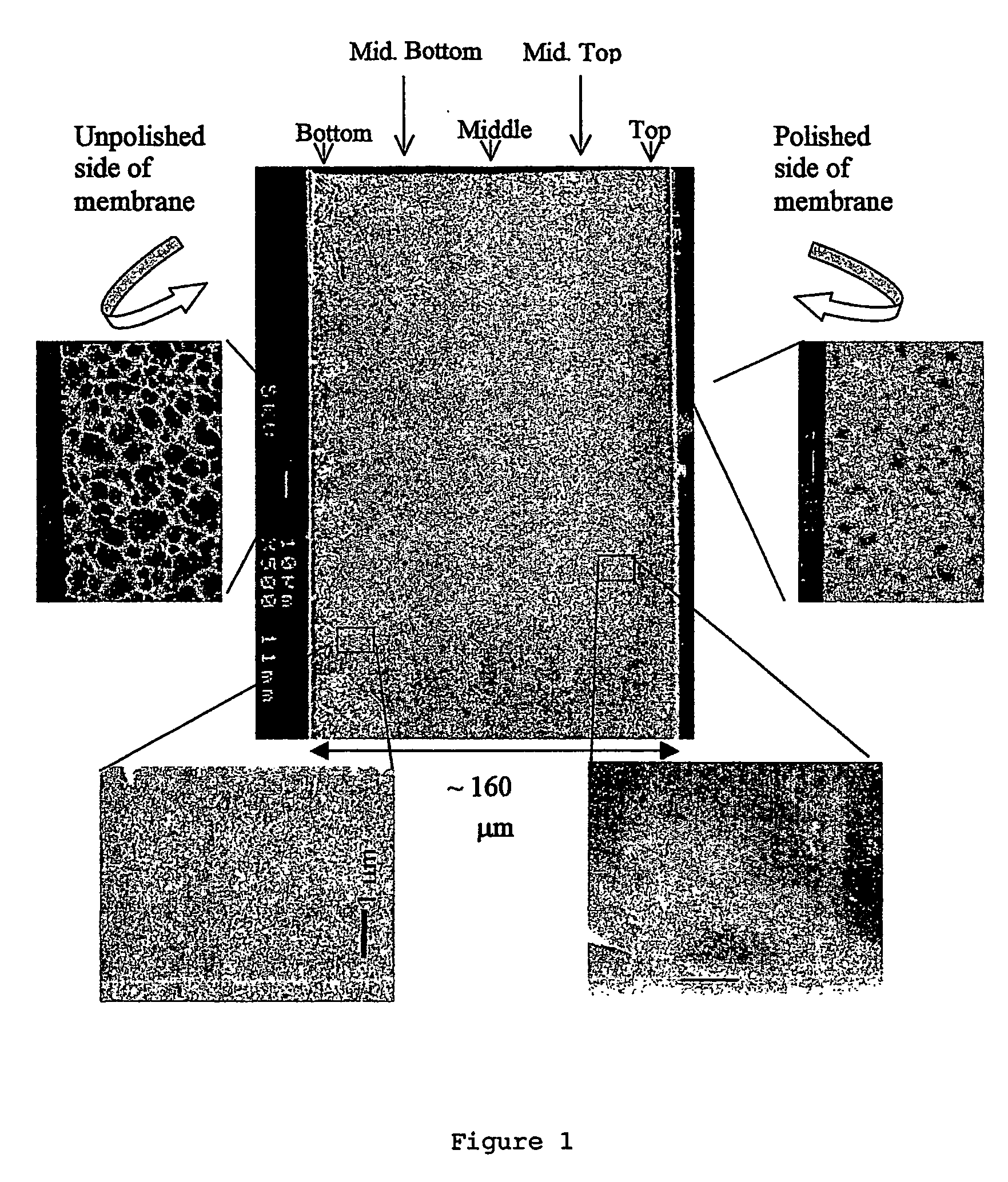 Composite material comprising a porous semiconductor impregnated with an organic substance
