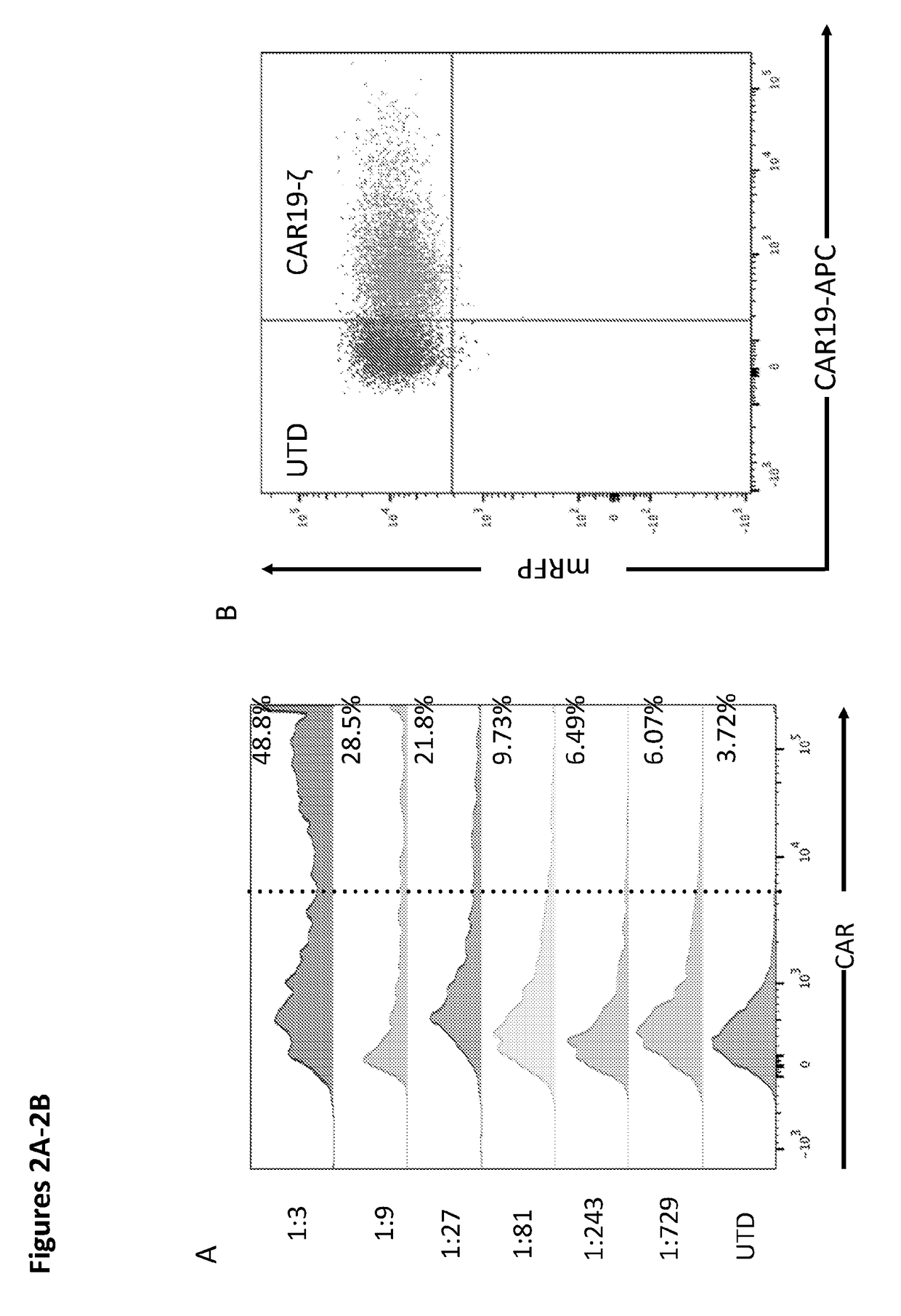 Modified Monocytes/Macrophage Expressing Chimeric Antigen Receptors and Uses Thereof