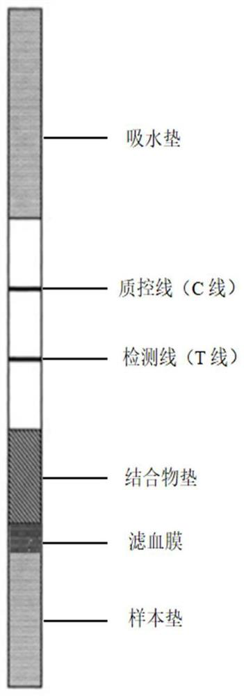 Fluorescence immunochromatography test strip and preparation method thereof