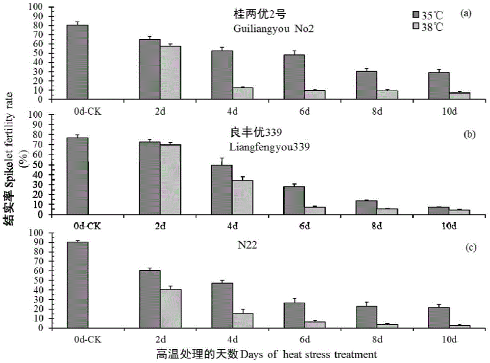 Method for identifying heat-resistant seed setting performance of early rice at earing and flowering stages based on hour cumulative temperature