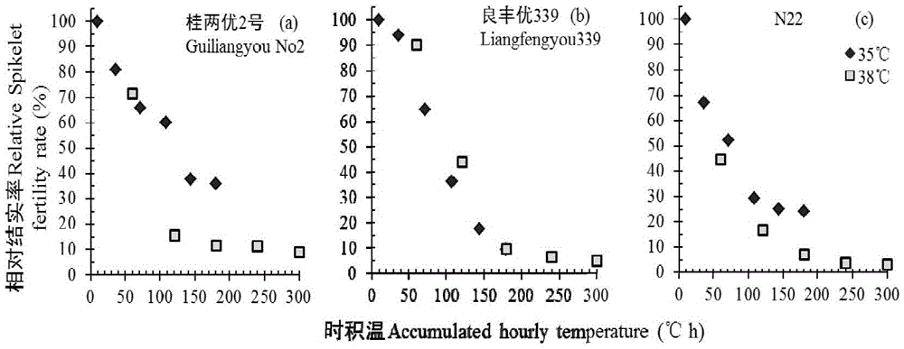 Method for identifying heat-resistant seed setting performance of early rice at earing and flowering stages based on hour cumulative temperature
