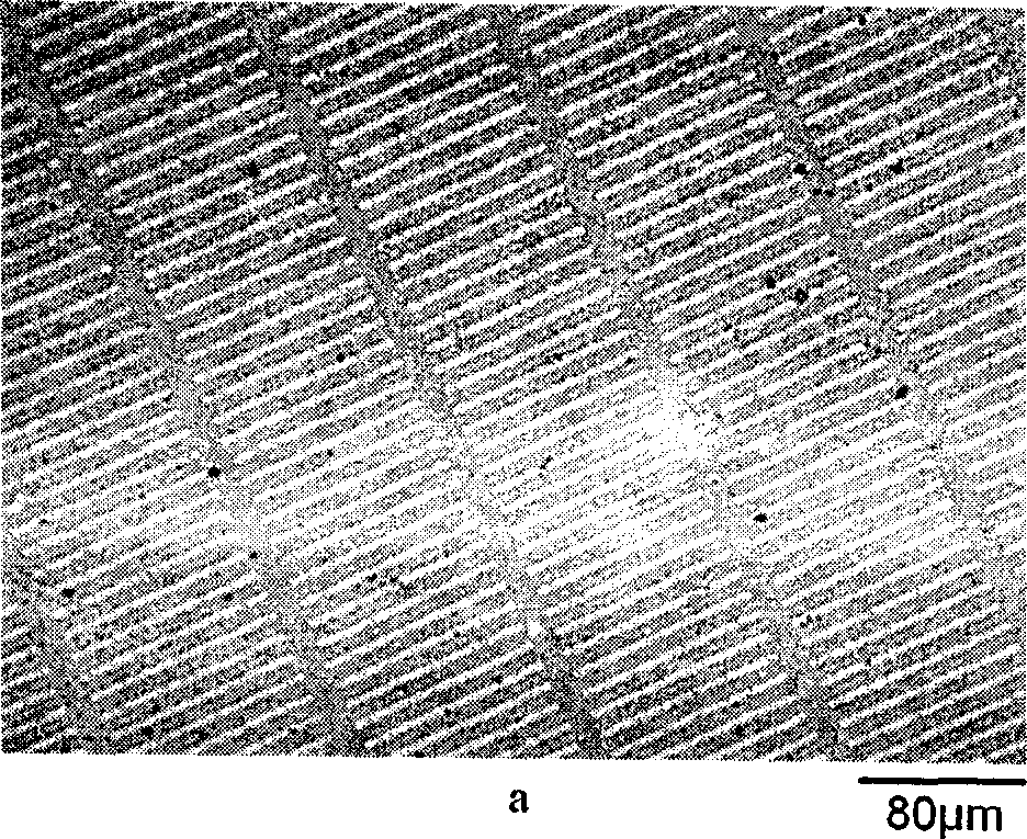 Process for producing gold surface pattern conductive polyphenylamine film