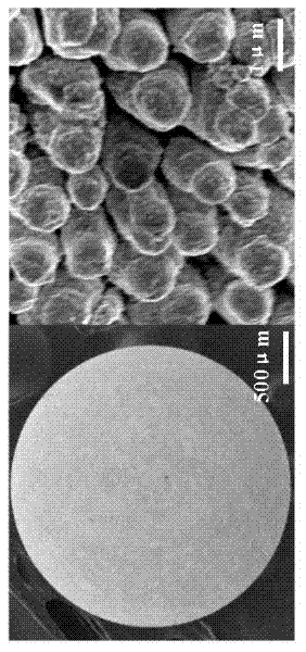 Preparation method of amino functionalized micron gold and anion exchange resin composite material
