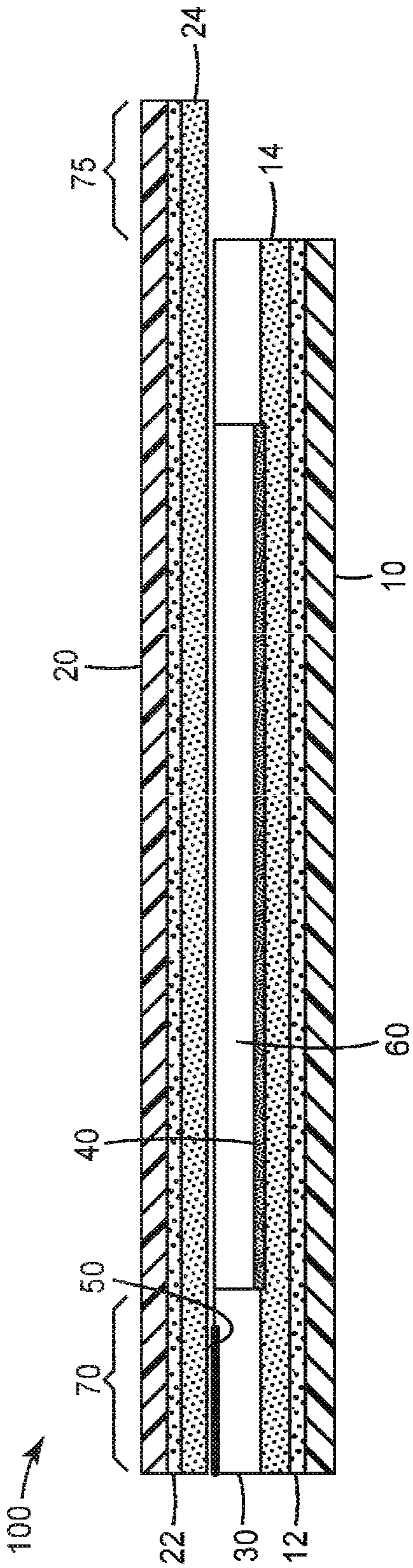 Culture device for lactic acid bacteria