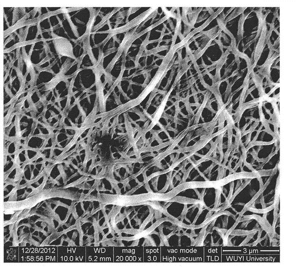 Polyvinyl alcohol/chitosan nano fiber film dressing containing nano silver and preparation thereof