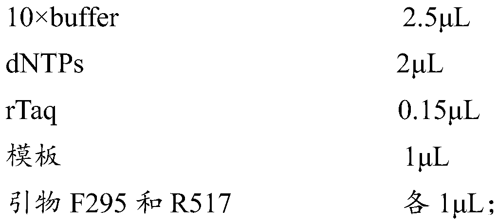 DNA bar codes for identifying Thryssa mystax and Thryssa kammalensis, and identification method and application thereof