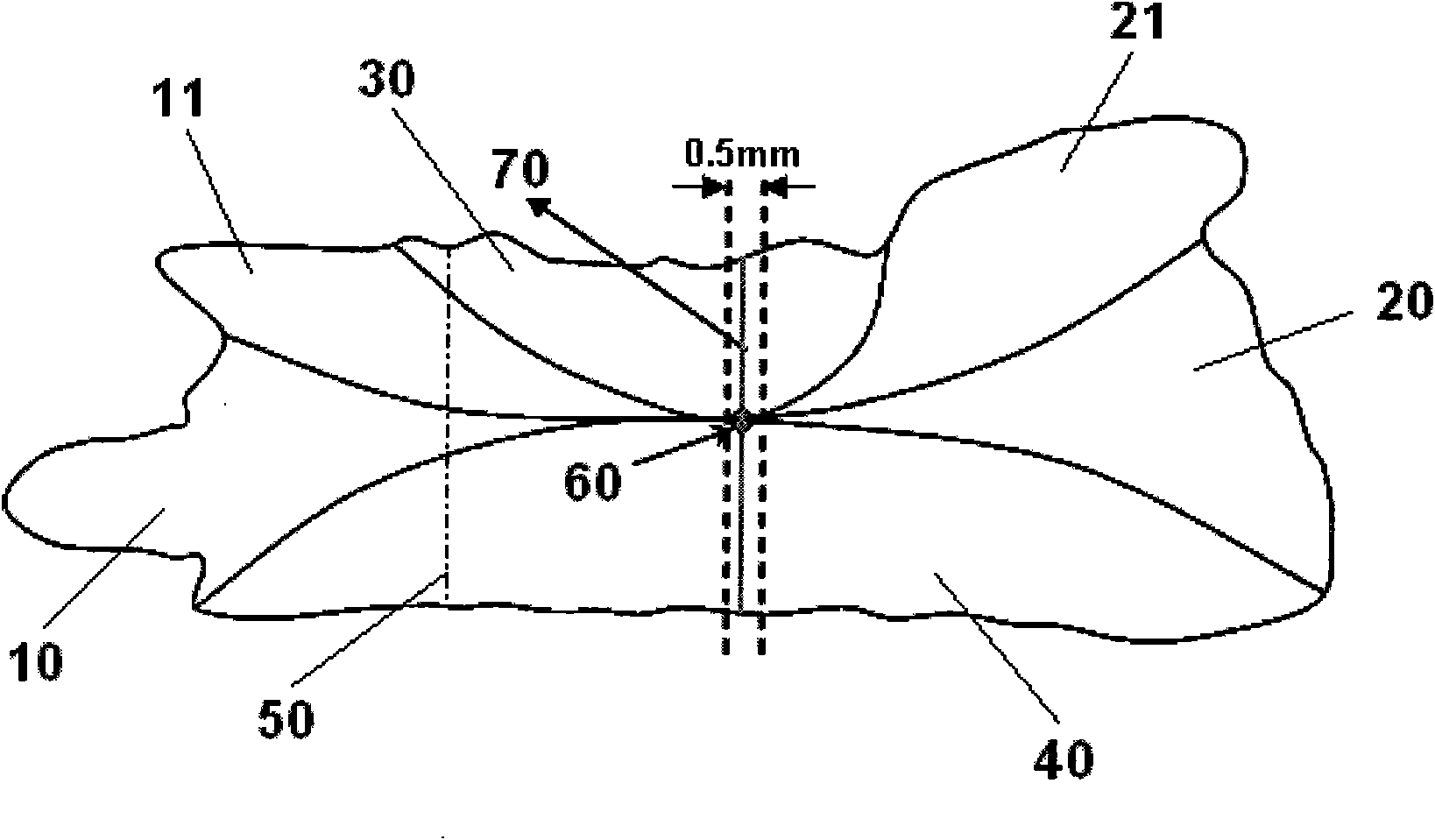 Preparation of mackerel otolith cross-sectional slices and method for determining age thereof