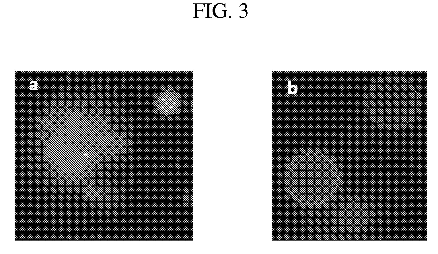 Compositions and methods for quantitatively monitoring lipids