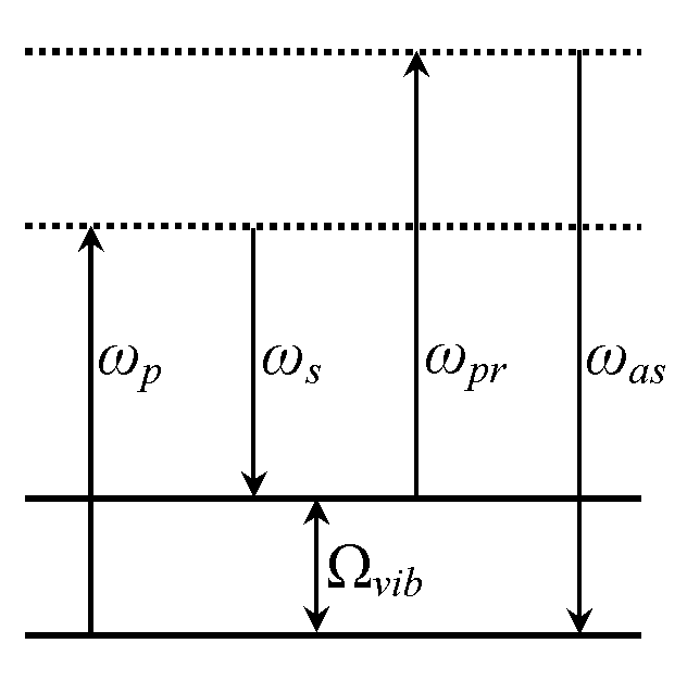 System and method for carrying out CARS (Coherent anti-Stokes Raman Scattering) imaging by using four-wave mixing signals generated by optical fiber