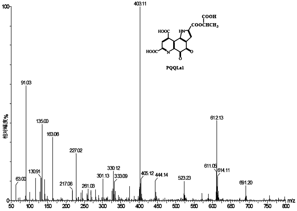 A method for detecting the effect of pqq on lactic acid by combining hplc with uplc-ms