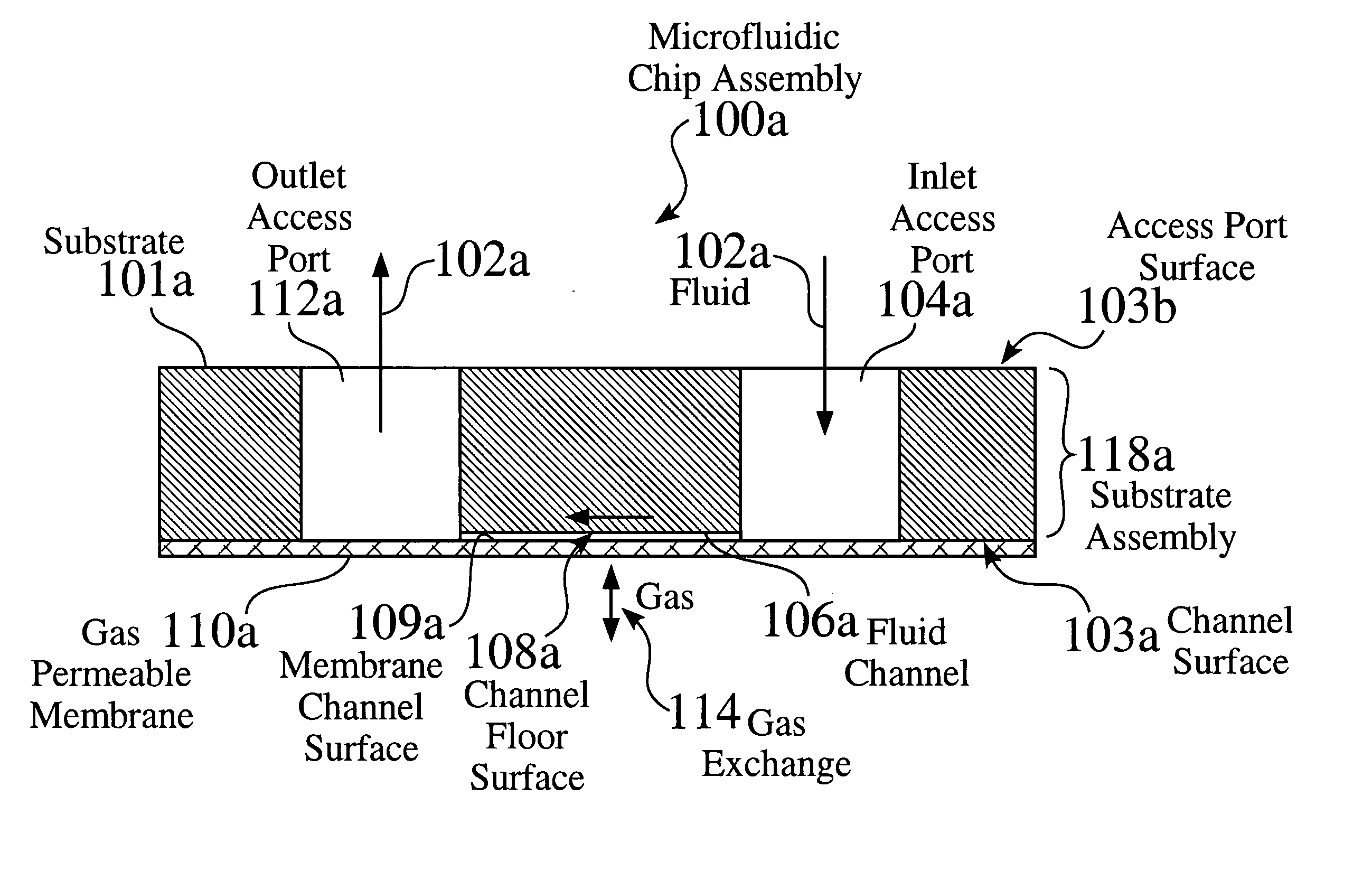 Microfluidic system with integrated permeable membrane