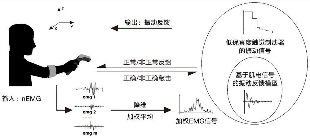 Human body electromyographic signal virtual strike vibration feedback system and feedback signal generation method