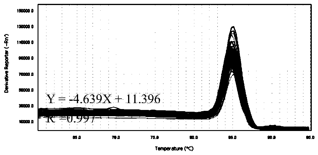 Method for determining content of Thelephora ganbajun mycelia in soil