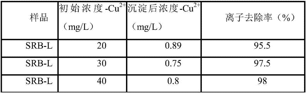 Sulfate reducing bacterium capable of achieving heavy metal settling and application of sulfate reducing bacterium
