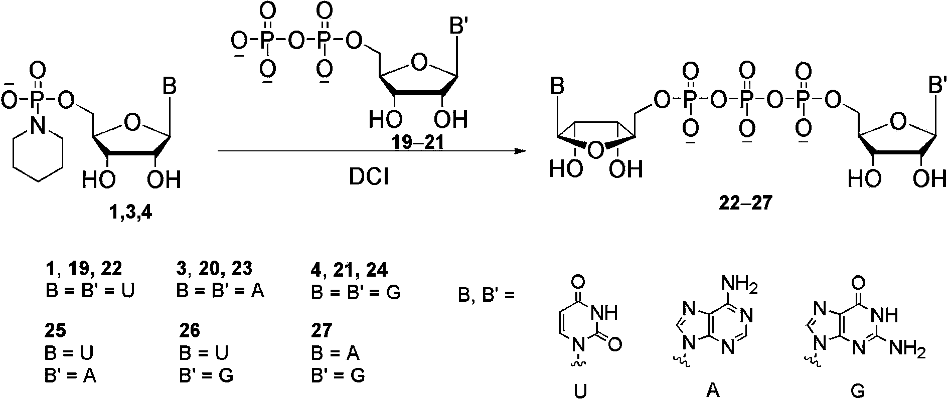 Method for synthesizing dinucleoside diphosphate and dinucleoside triphosphote