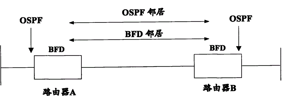 Method and device for realizing bidirectional forwarding detection