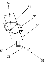 Irrigation device for planting of paeonia suffruticosa