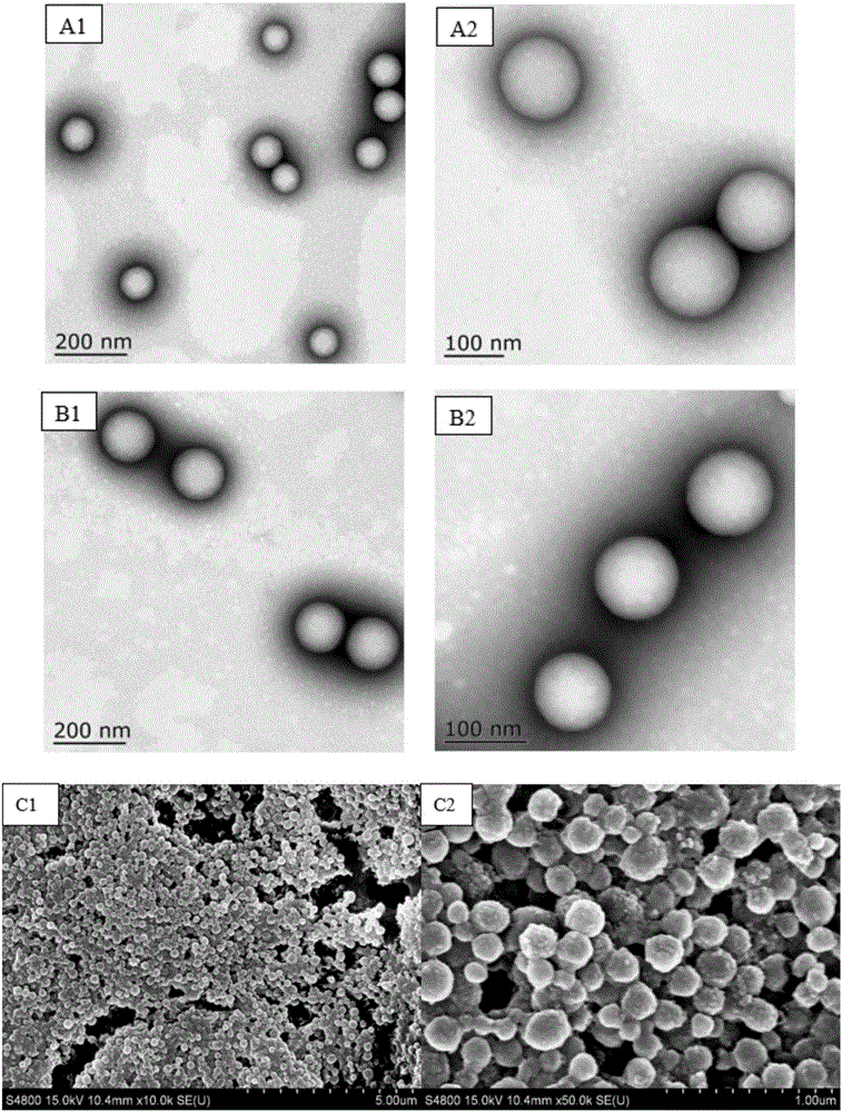 Chinese yam polysaccharide polylactic acid glycolic acid nanoparticles and preparation method and application thereof