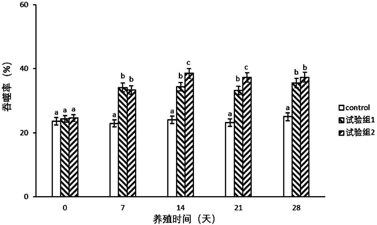 Chinese herbal medicine compound polysaccharide immunity-enhanced feed additive for prawns