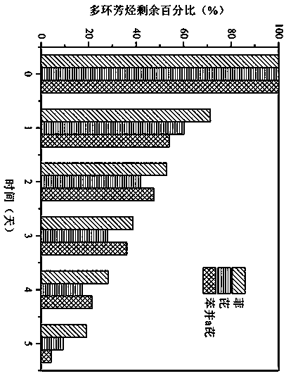 Integrated Soil Remediation Photocatalytic Reactor