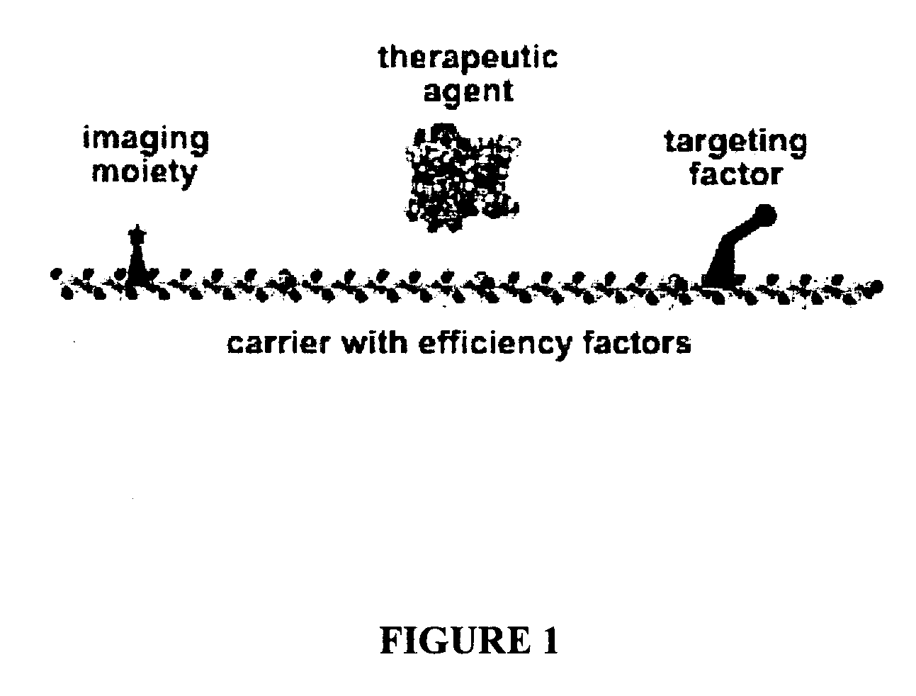 Compositions and methods for topical diagnostic and therapeutic transport