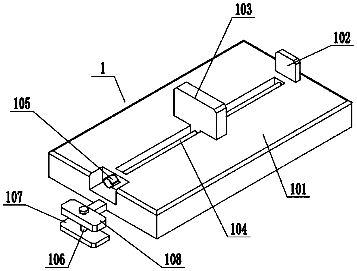 Pathological slicing device