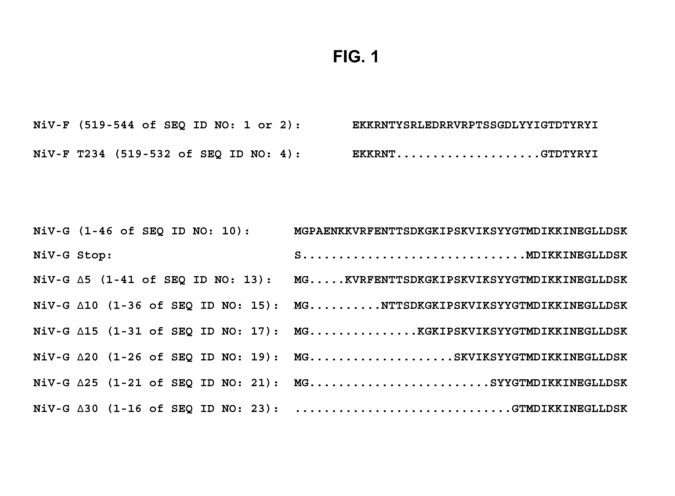 Nipah virus envelope pseudotyped lentiviruses and methods of their use