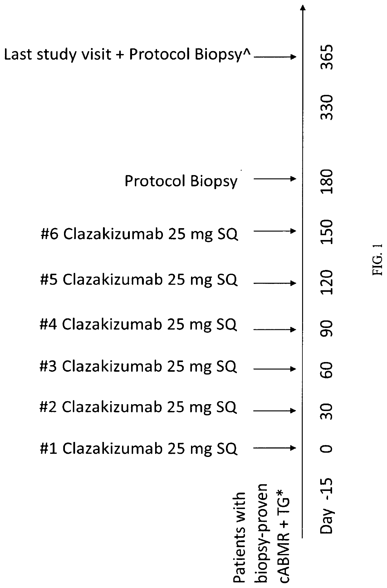 Clazakizumab in the treatment of chronic antibody-mediated rejection of organ transplant