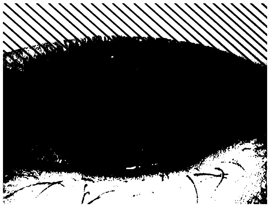 Method of extracting eyelashes based on improved ant colony algorithm