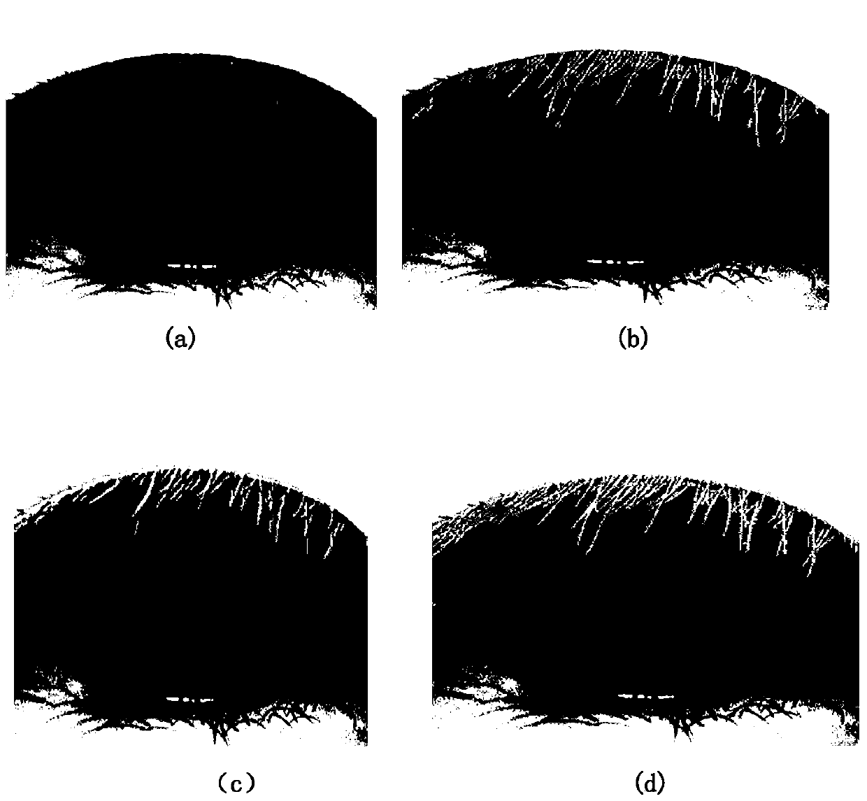 Method of extracting eyelashes based on improved ant colony algorithm