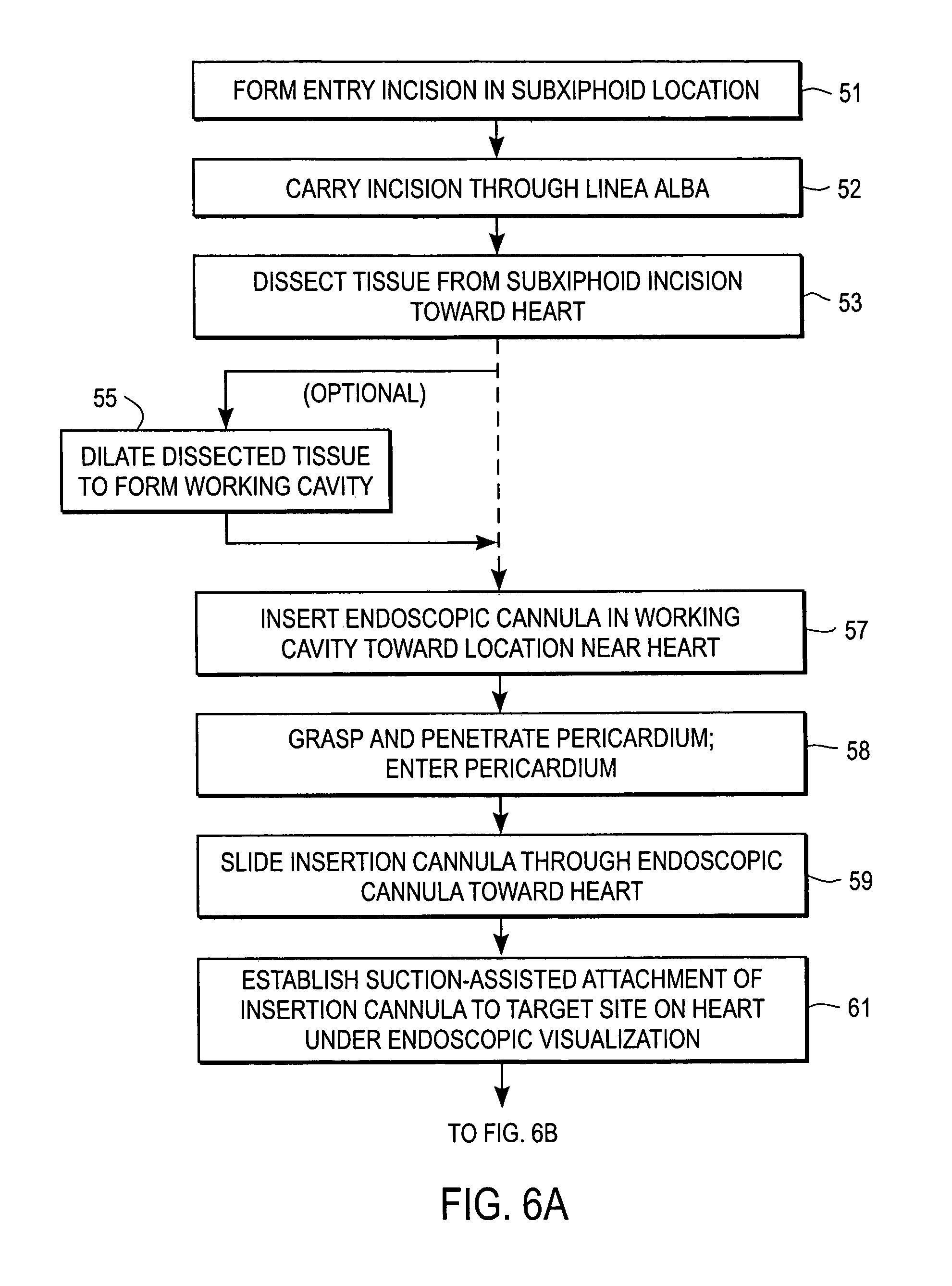 Apparatus for endoscopic cardiac mapping and lead placement