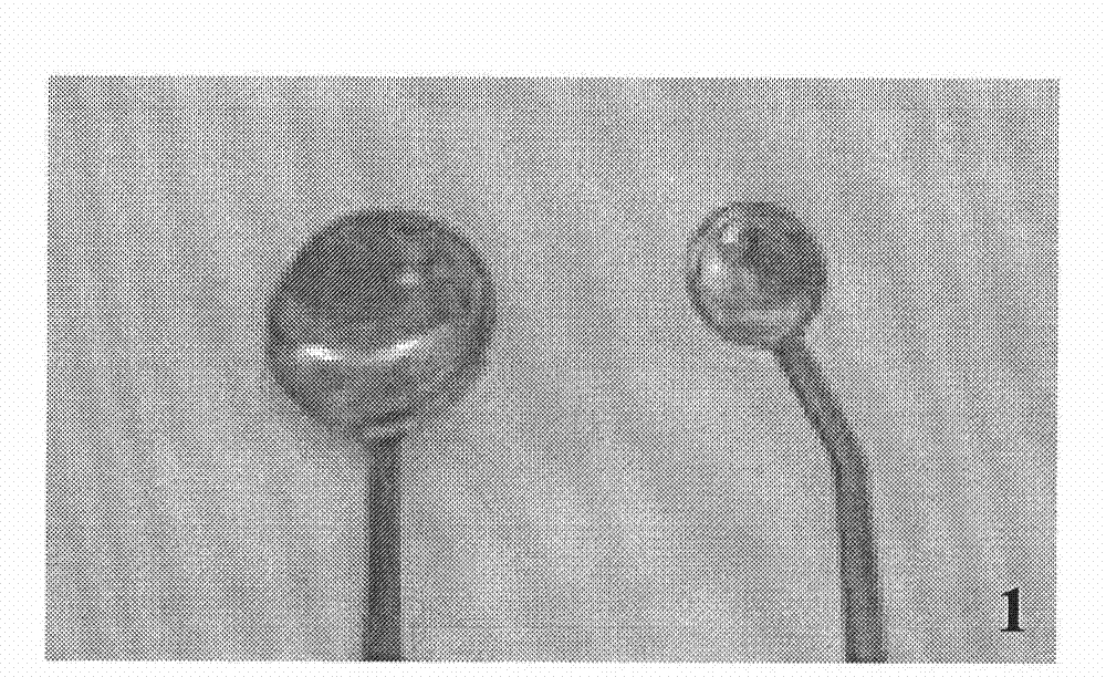 Method and device for assisting in gene transfer by utilizing electroporation