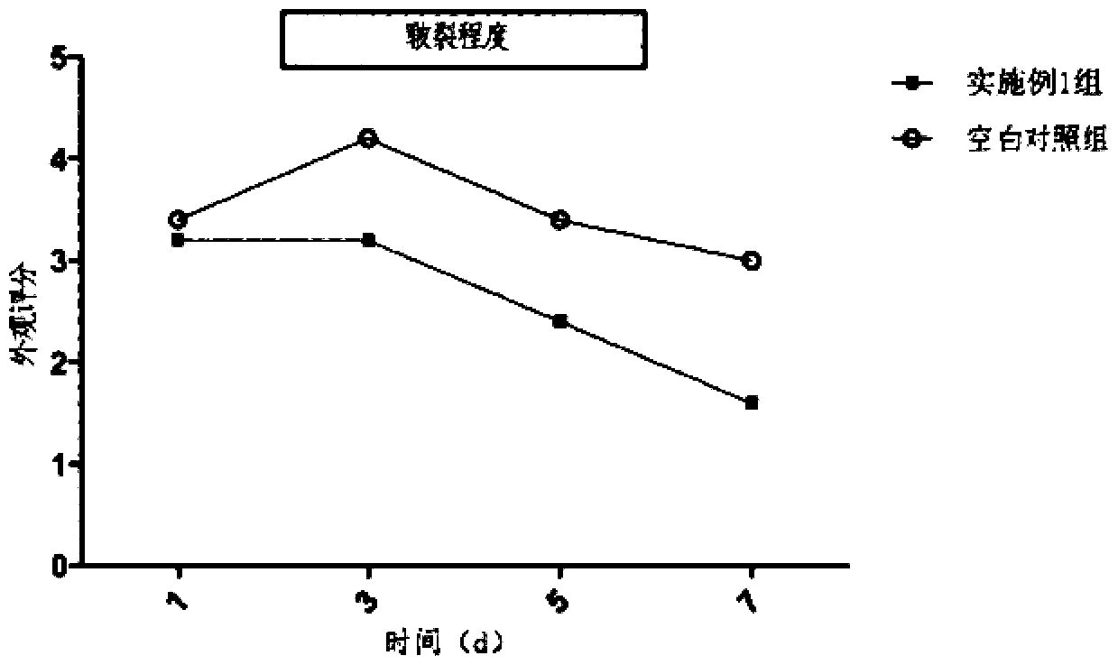 Externally used pharmaceutical composition for skin and preparation method thereof