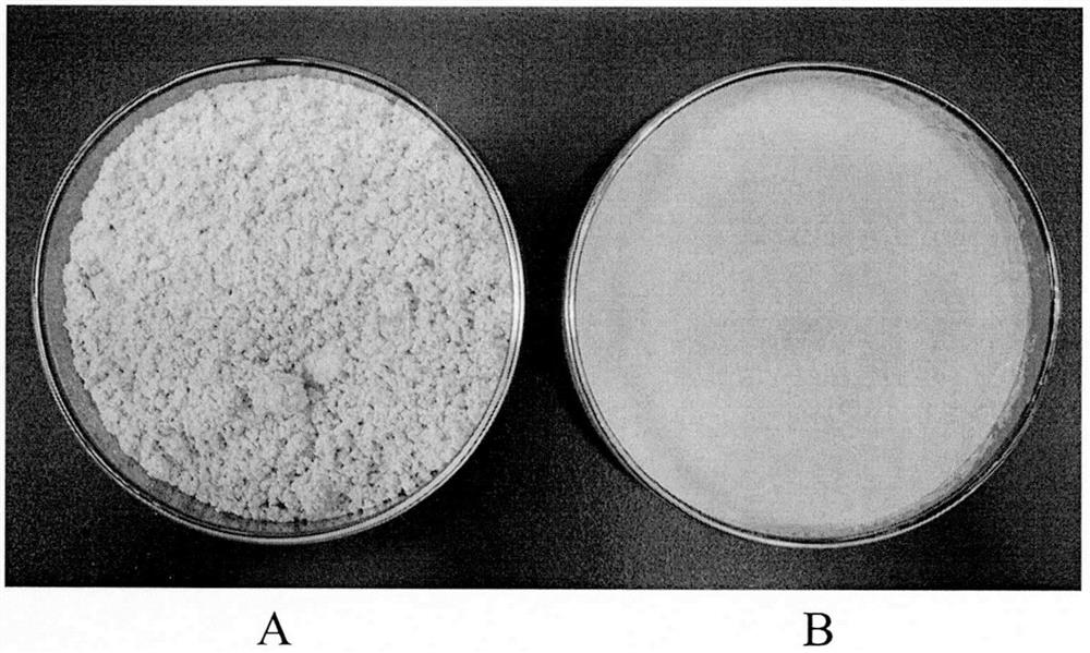 A kind of thyroid tablet produced by full powder direct compression and its preparation process