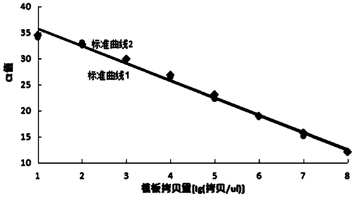 Specific primer set and detection kit for detecting drug resistance mutation gene of Mycoplasma pneumoniae