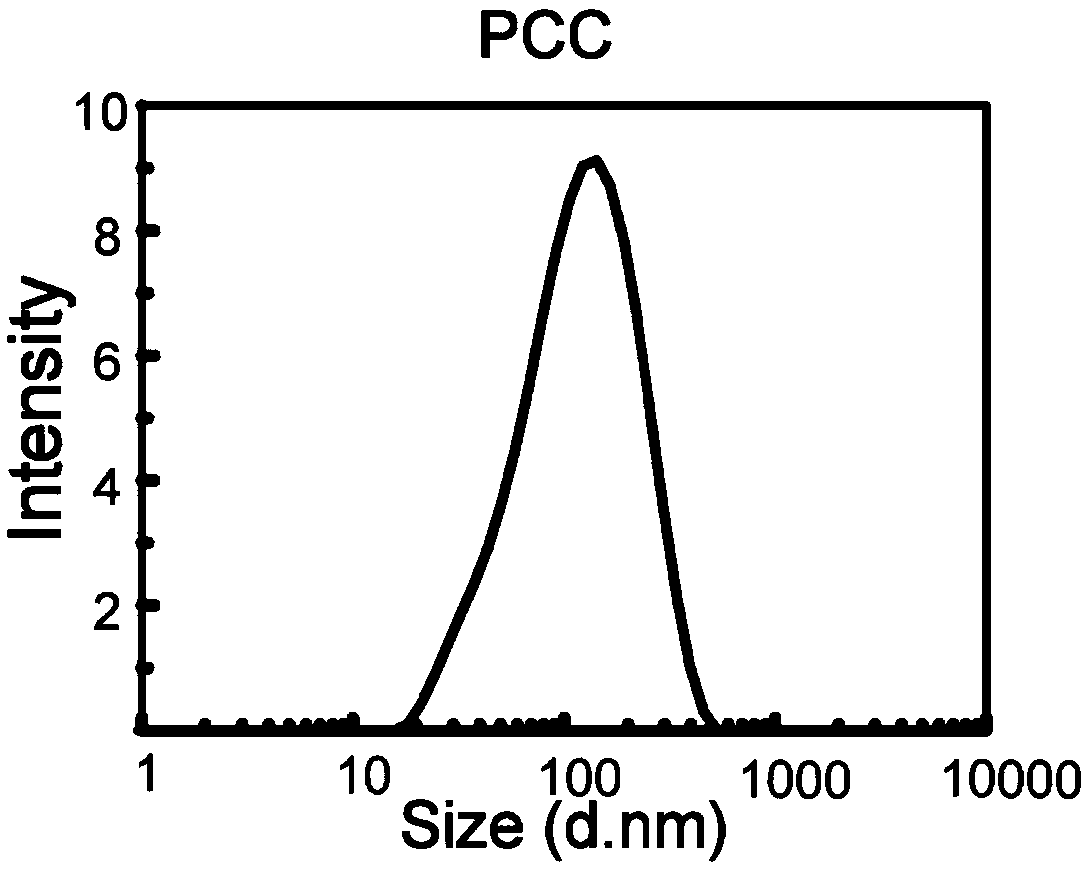 Polyethylene glycol-chitosan-curcumin polymer, drug-loaded nano particles thereof and preparation method thereof