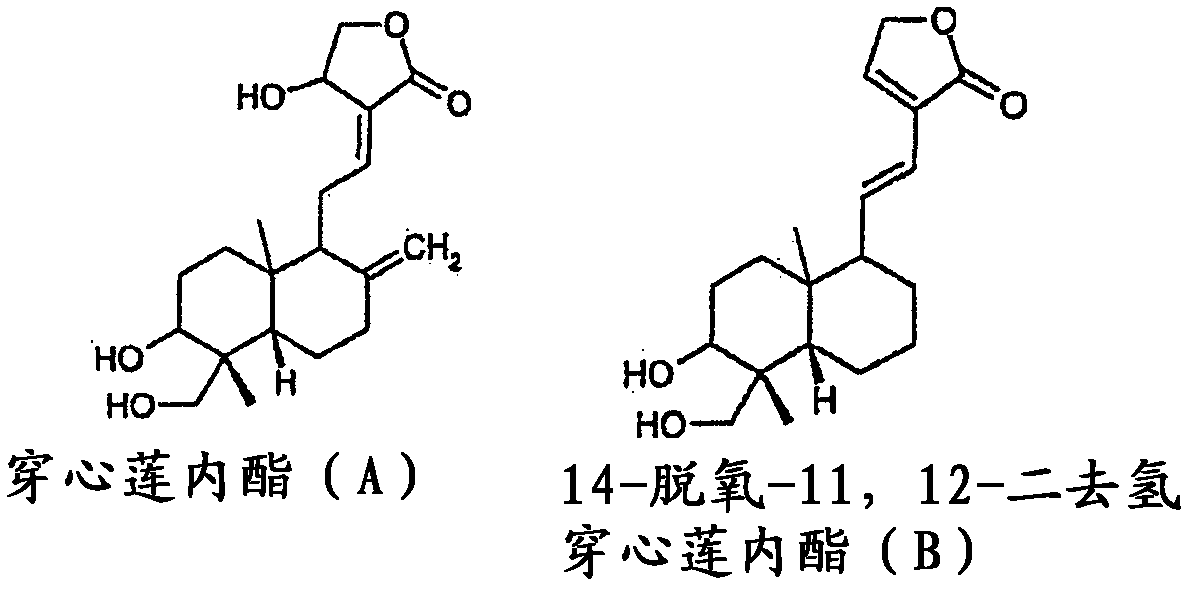 Use of andrographolide compounds for treating inflammation and airway disorders