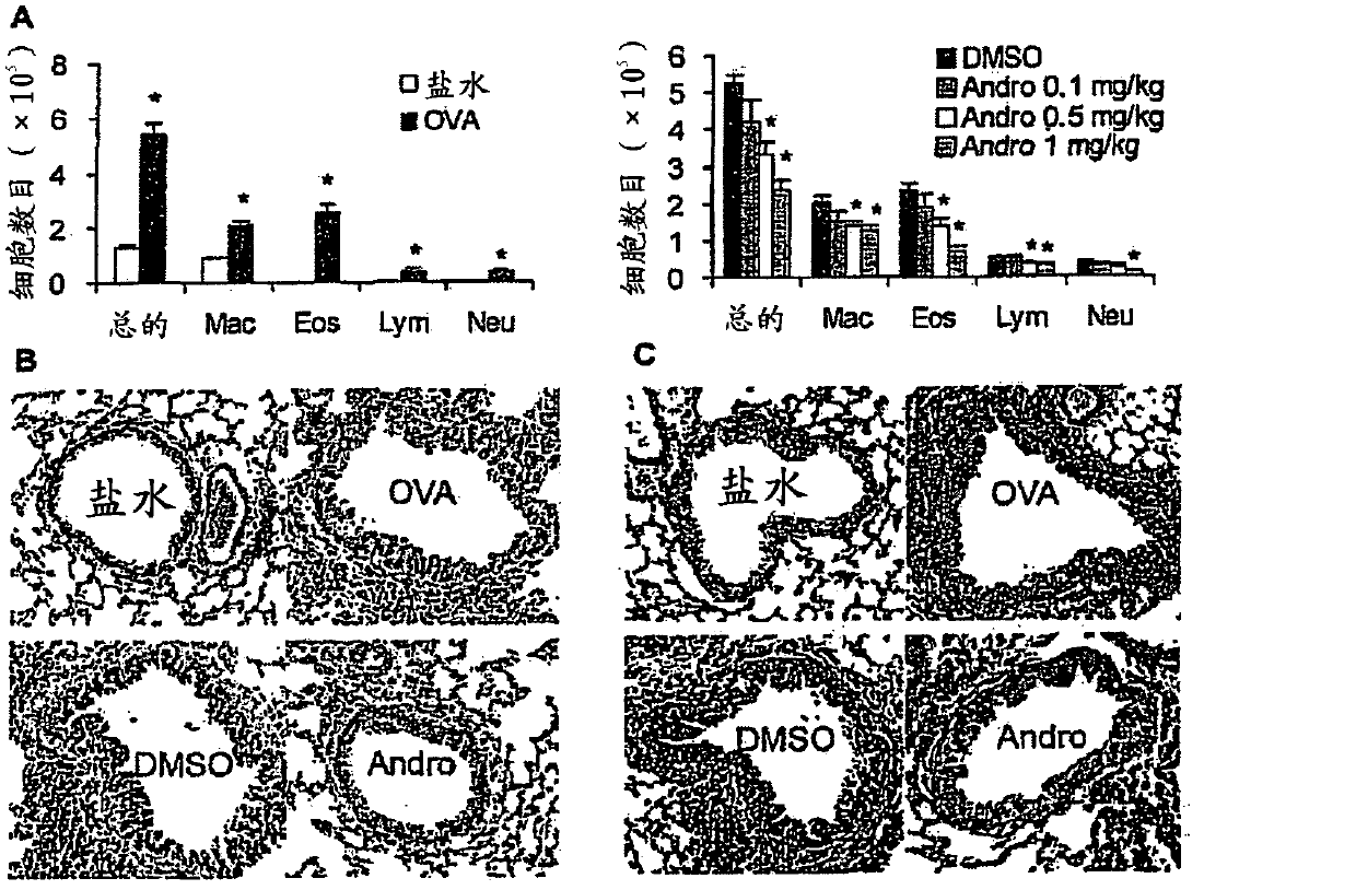 Use of andrographolide compounds for treating inflammation and airway disorders