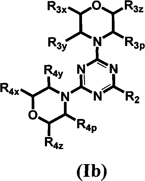 Triazine, pyrimidine and pyridine analogs and their use as therapeutic agents and diagnostic probes