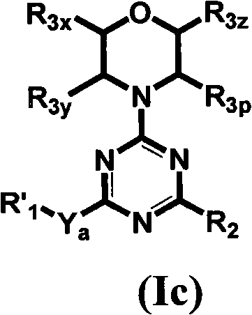 Triazine, pyrimidine and pyridine analogs and their use as therapeutic agents and diagnostic probes