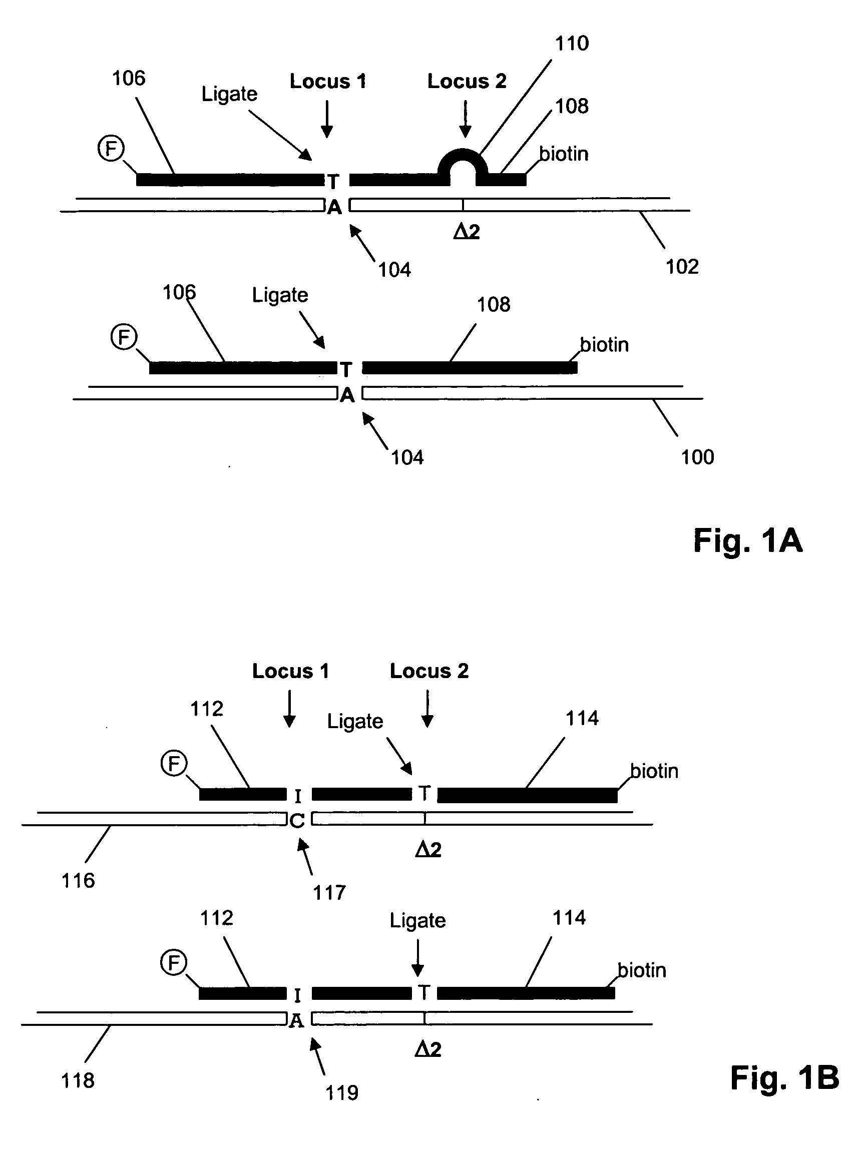Method and kits for multiplex hybridization assays