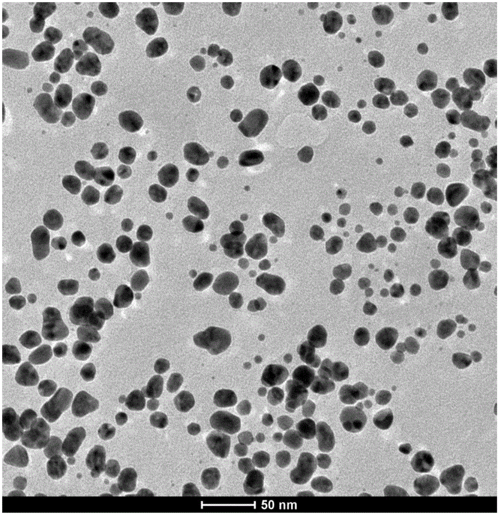 Method for preparing gold nanoparticles through fructus lycii extract liquid