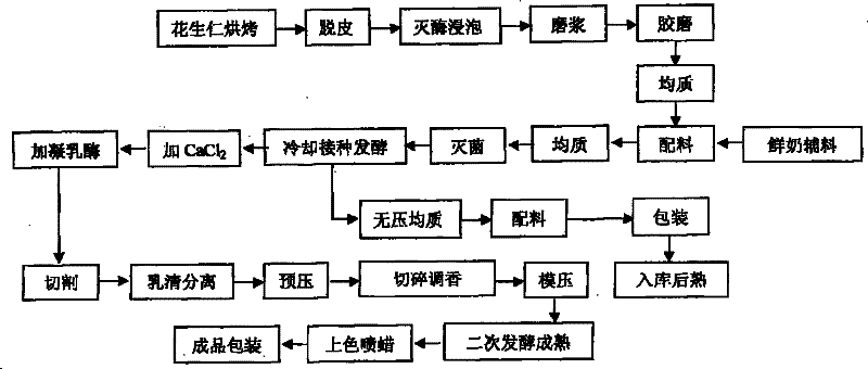 Method for producing peanut cheese and peanut yoghurt