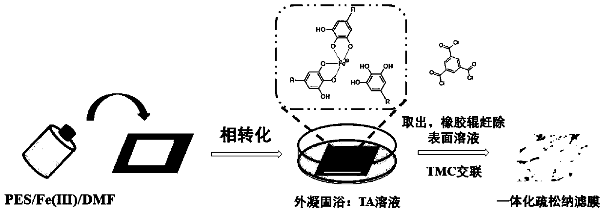 Loose nanofiltration membrane and preparation method and application thereof