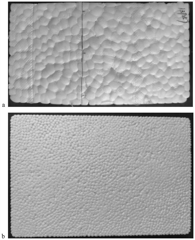Biodegradable composite bead foaming material for packaging field and preparation method of biodegradable composite bead foaming material