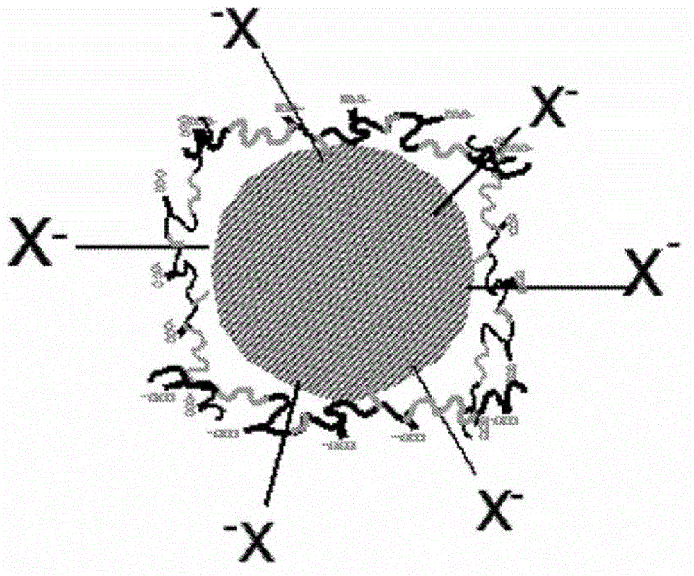 Polymeric pigment systems and methods