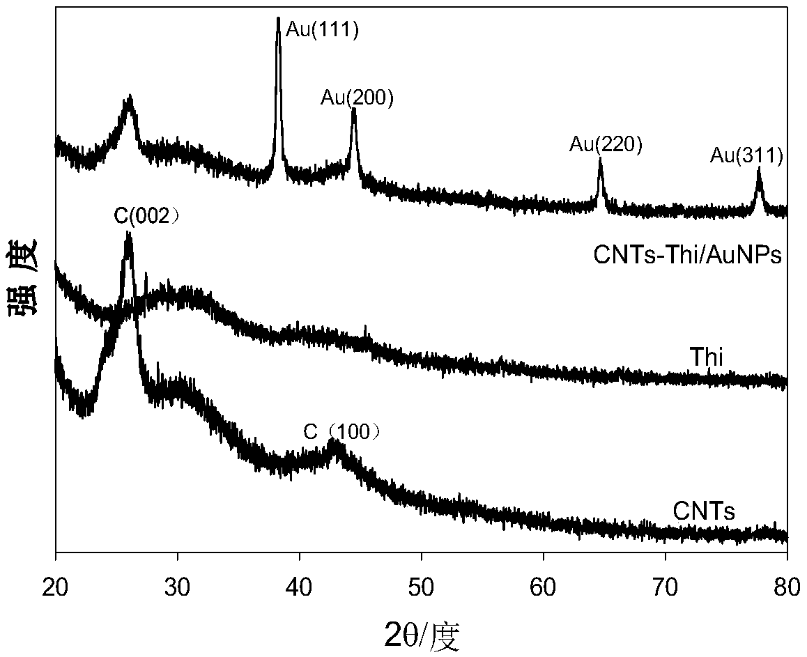 Carbon nanotube-thionine/gold nanoparticle composite material and preparation method and application thereof