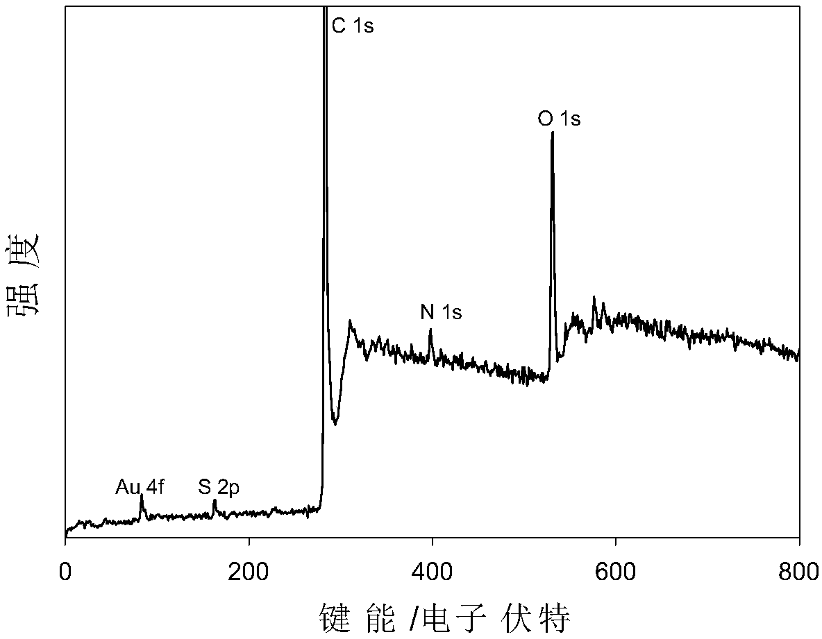 Carbon nanotube-thionine/gold nanoparticle composite material and preparation method and application thereof