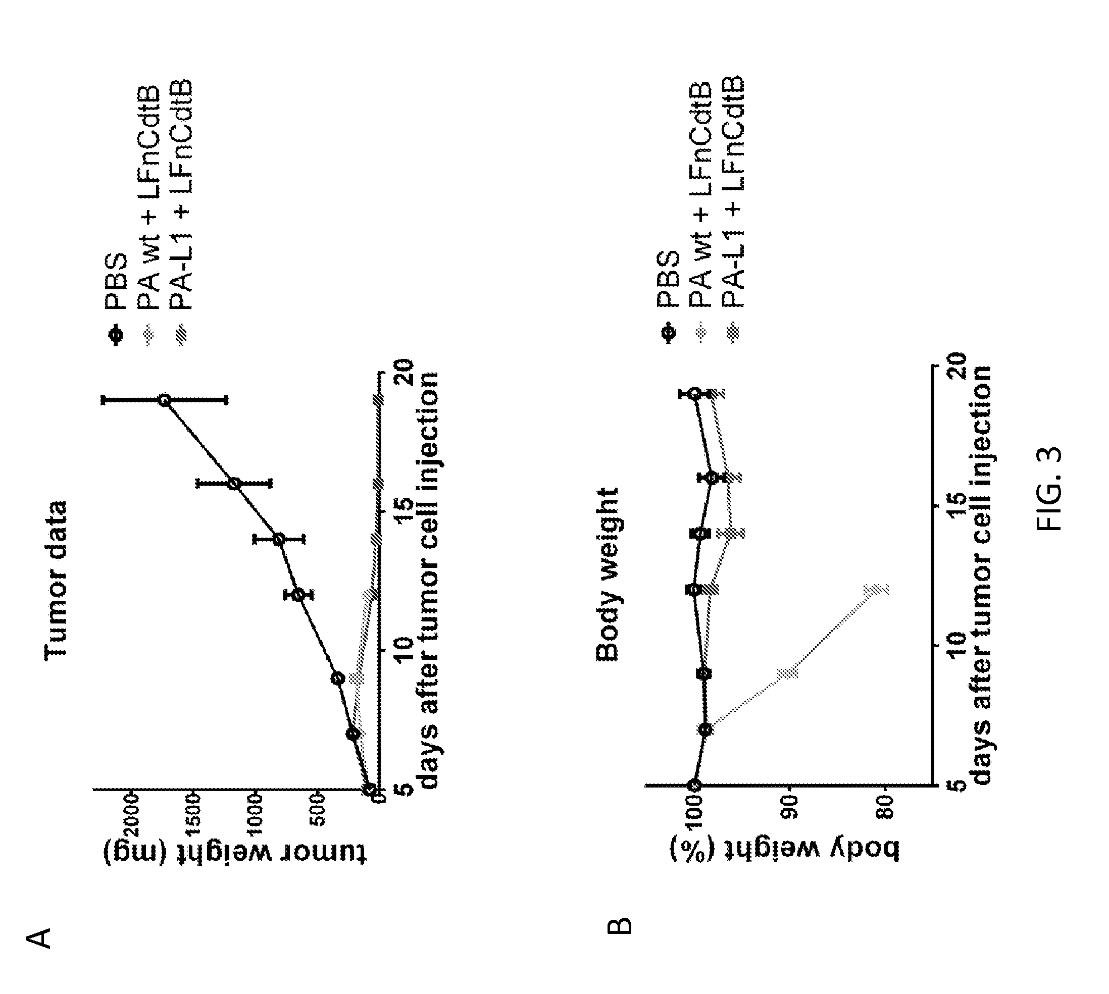 Cytolethal distending toxin subunit b conjugated or fused to bacillus anthracis toxin lethal factor